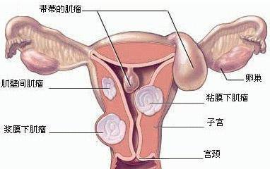 第435页