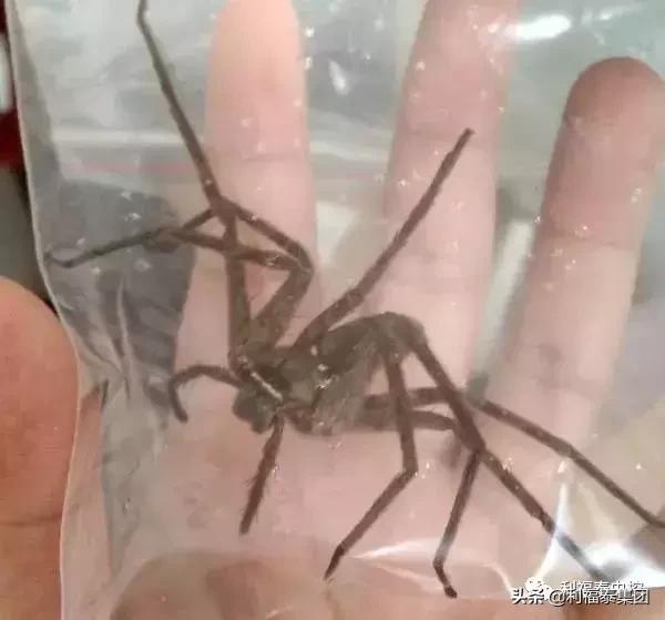 地方新闻 第70页