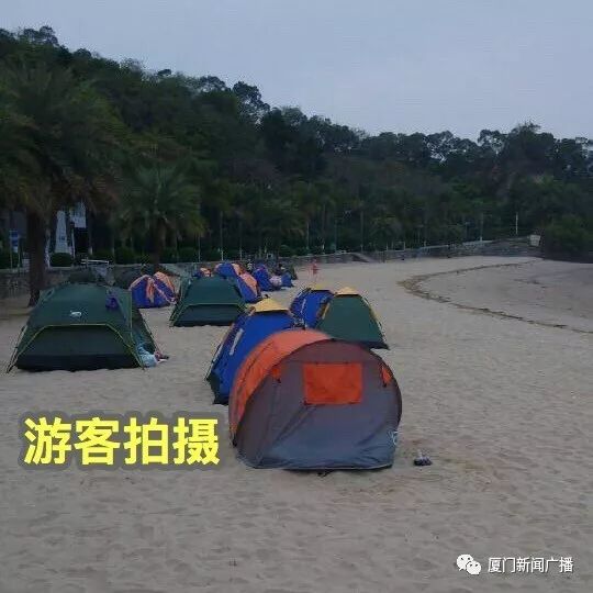 第392页