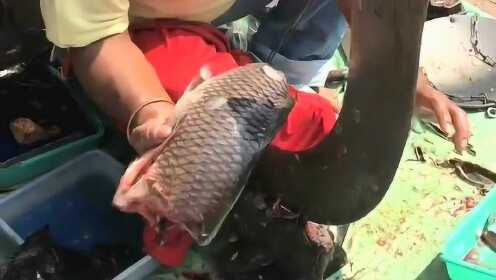 热点生活 第47页