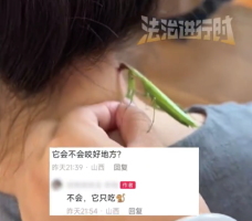游戏专题 第36页