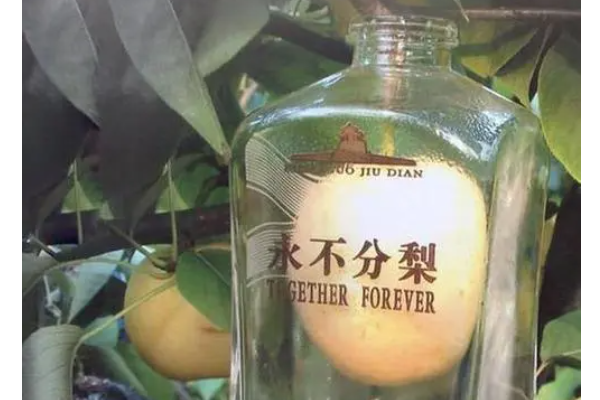 娱乐生活 第19页