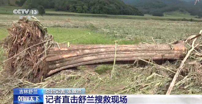 最新资讯 第4页