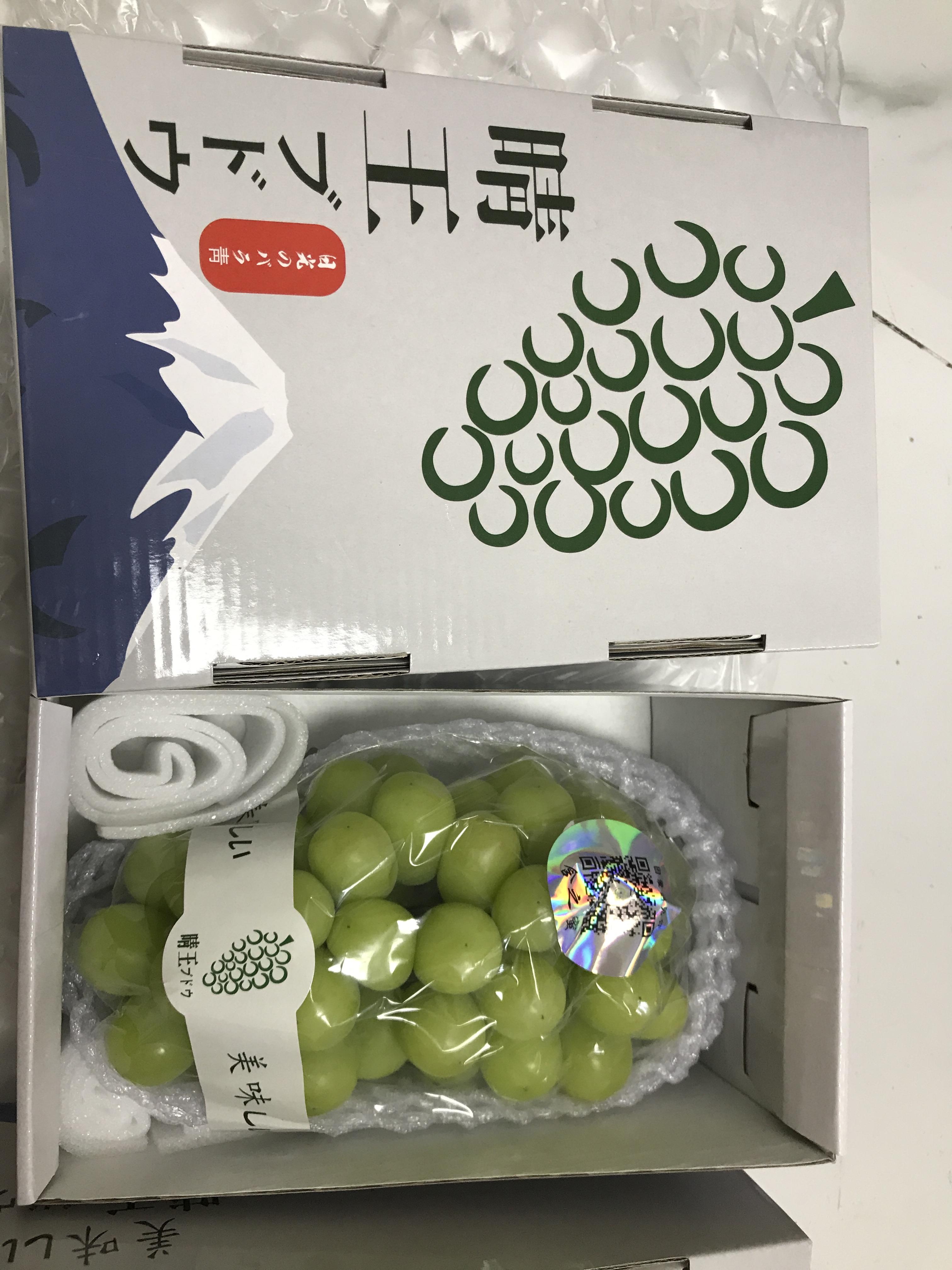 娱乐生活 第4页